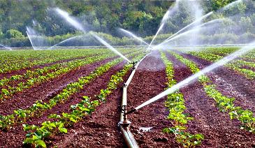 灌溉设施