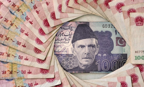 中国巴基斯坦货币